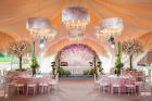 Lawn for Wedding -  Pali Wedding Lawn