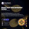 Maximizing Blockchain Efficiency with Tailored Binance Smart Chain Development