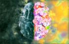 Mental Health Services in Orange County CA