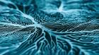 Microcurrent Neurofeedback in Orange County
