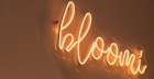 Neon Sign Manufacturer Company in India- Brand Signages