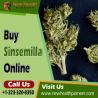 Order Sisemilla Online: