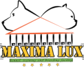 Pansion za pse MAXIMA LUX Beograd