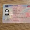 Registered .gun license , drivers license, I.D cards
