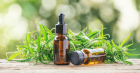 Seeking Rick Simpson Oil for Cancer Treatment