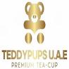 Teddypups U.A.E PREMIUM TEA- CUP