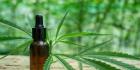 Buy Rick Simpson Oil – Pure & Potent RSO for Wellness