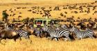 Unveil Kenya’s Hidden Gems with Bigzone Safaris Africa Limited: 8 Days Kenya Discovery Safari