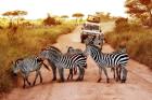 Unveil Tanzania’s Wonders with Fair Tanzania Safaris