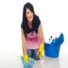 Upholstery Cleaner