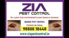 Vasanth nagar Bed Bug Control | Trained Technicians | eliminate bedbugs | 5071