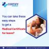 You can take these easy steps to get a medical certificate for leave