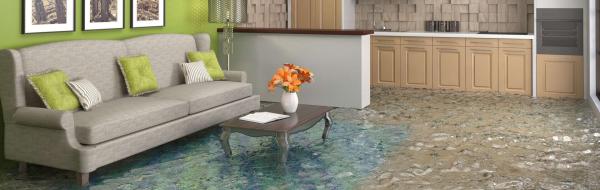 1-800 WATER DAMAGE OF CLEVELAND WEST