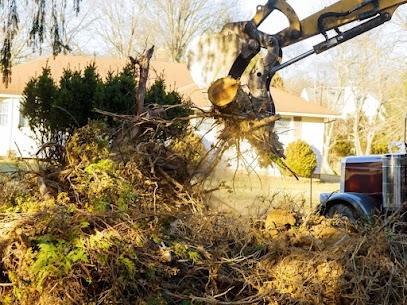 Storm damage tree cleanup | Paul Stetson Tree Service and Pressure Cleaning