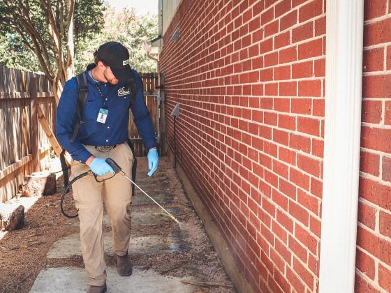 Alta Pest Control