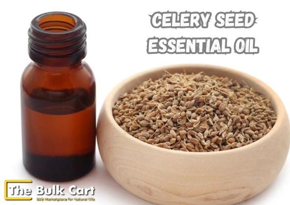 Buy Wholesale Celery Seed Essential Oil – The Bulk Cart