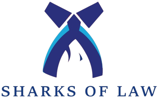 Child Custody Lawyers in Delhi NCR