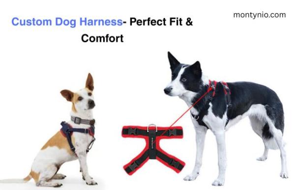 Custom Dog Harness- Perfect Fit & Comfort