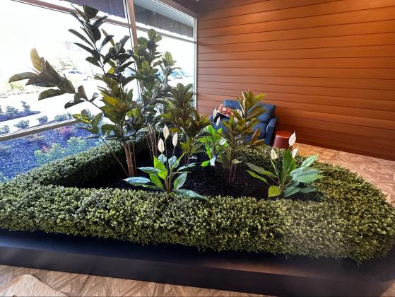 Designer Vertical Gardens
