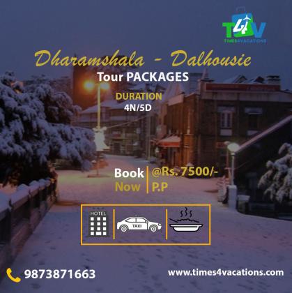 Domestic Tour Packages – Best Affordable Travel Deals in India