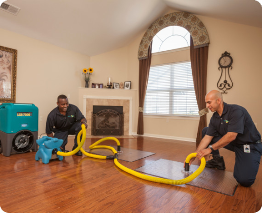 Elite Water Restoration