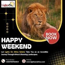 Explore the Best Tanzania Safari Packages