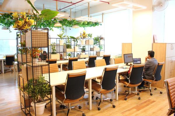 Flexible Coworking: Get Your Day Pass in Noida at SetuSpace