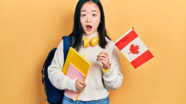 Francophone Immigration Canada