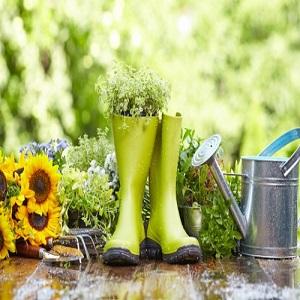 Gardener Gardening