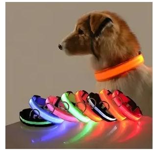 Get the very best in dog products and accessories.