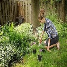 Great Gardeners