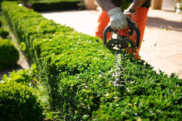 Green Stripes Lawncare LLC
