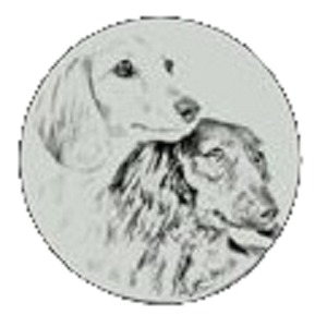 Honeyman's Miniature Dachshunds
