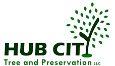 Hub City Tree and Preservation