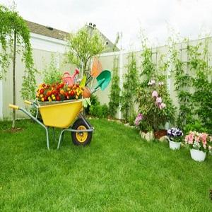 Landscaping Services