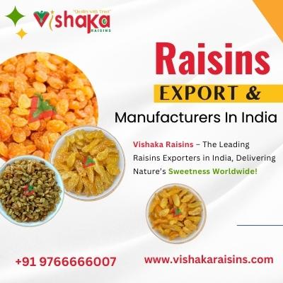 Leading Raisins Exporters in India Premium Quality Raisins Manufacturers in India