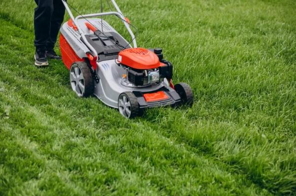 Local Cut Lawn Care and Landscaping Services