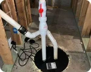My Georgia Rooter