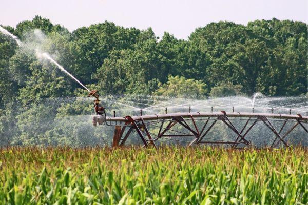 Professional Irrigation Design Consultants in California for Every Landscape