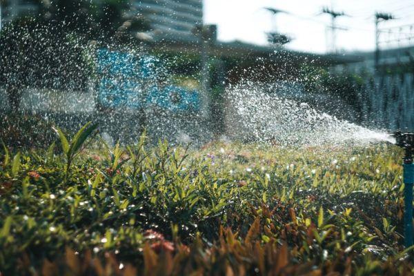 Professional Irrigation Design Consultants in California for Every Landscape