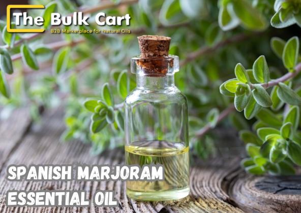 Spanish Marjoram Essential Oil for Sale – Bulk & Wholesale