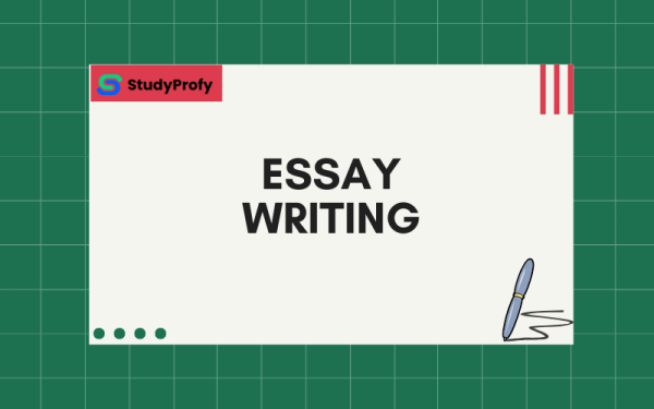 StudyProfy: The Best Choice for Academic Success