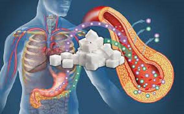 Sweet Poison? The Hidden Dangers of Sugar EXPOSED!