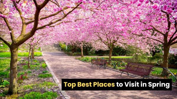 Top 10 Best Places to Visit in Spring for a Perfect Getaway