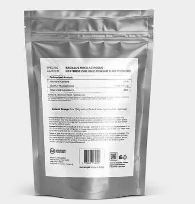 Trusted Bacillus Mucilaginosus Dealer – Ready to Dispatch