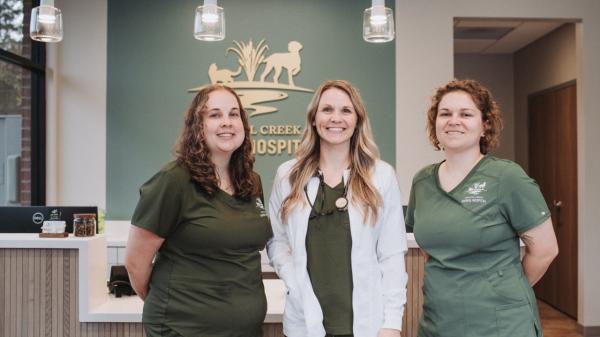 Coastal Creek Animal Hospital