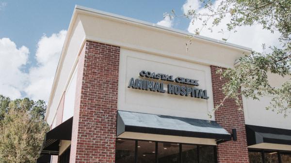 Coastal Creek Animal Hospital