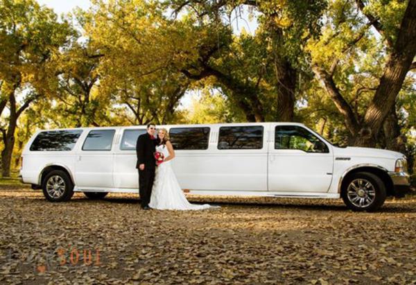 Wedding Transportation in London Ontario