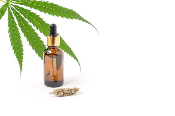 Where to Buy Rick Simpson Oil Online: Trusted Sellers & Deals