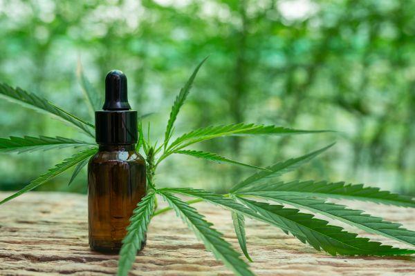 Where to Buy Rick Simpson Oil Online: Trusted Sellers & Deals